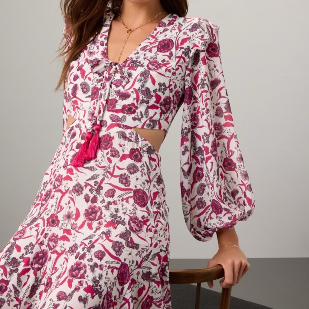 Alexis Nikita Dress